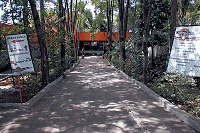 Ingleses distribuíram lembranças após a partida (Divulgação) ceva1